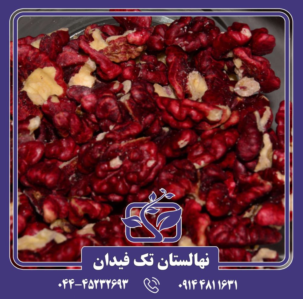 نهال گردو توسرخ