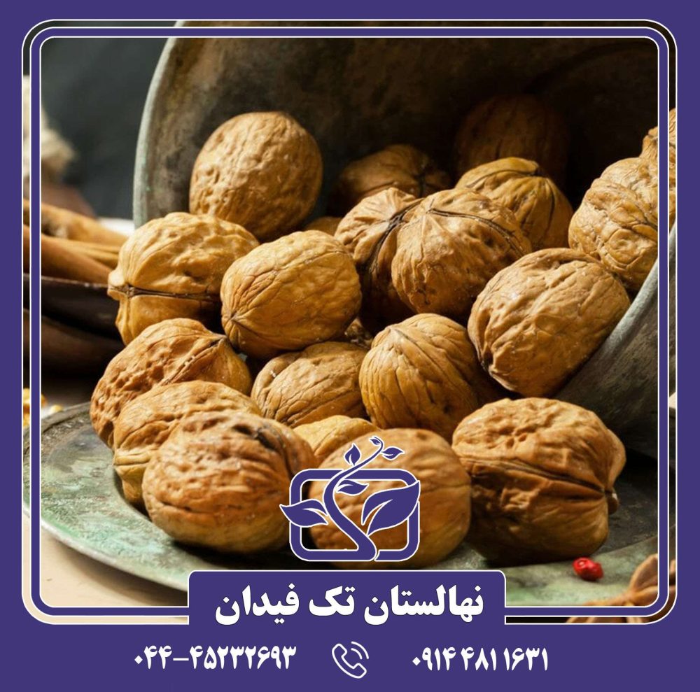 نهال گردو چندلر