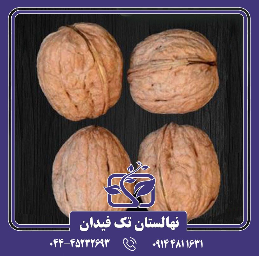 نهال گردو چندلر