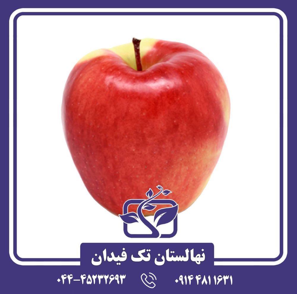 نهال سیب آمبروزیا