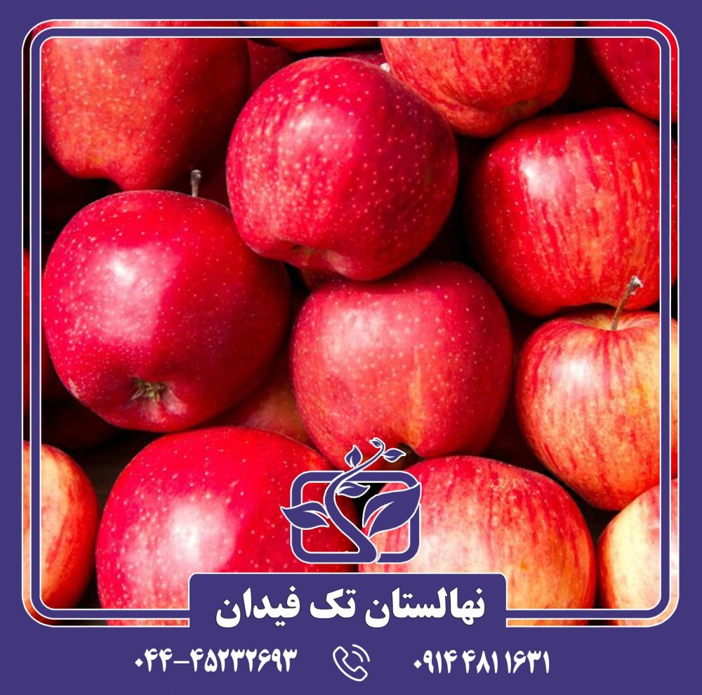 نهال سیب الستار