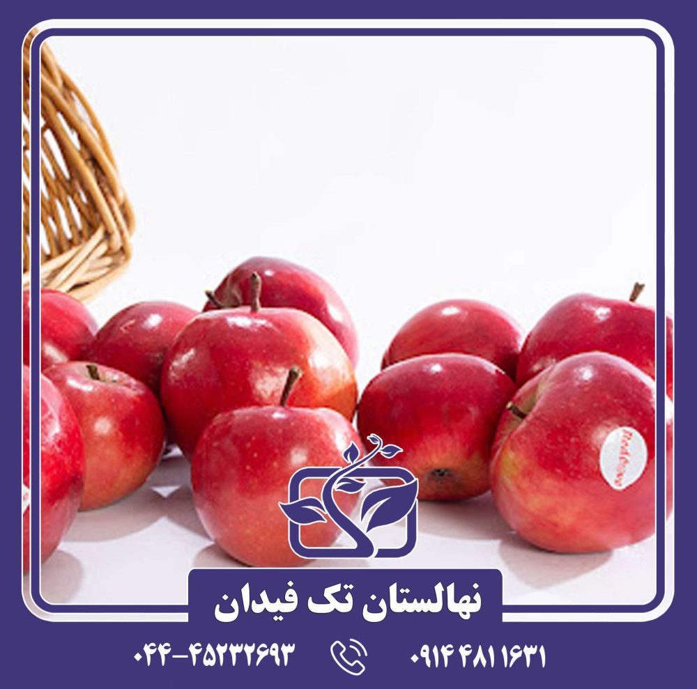 نهال سیب توسرخ