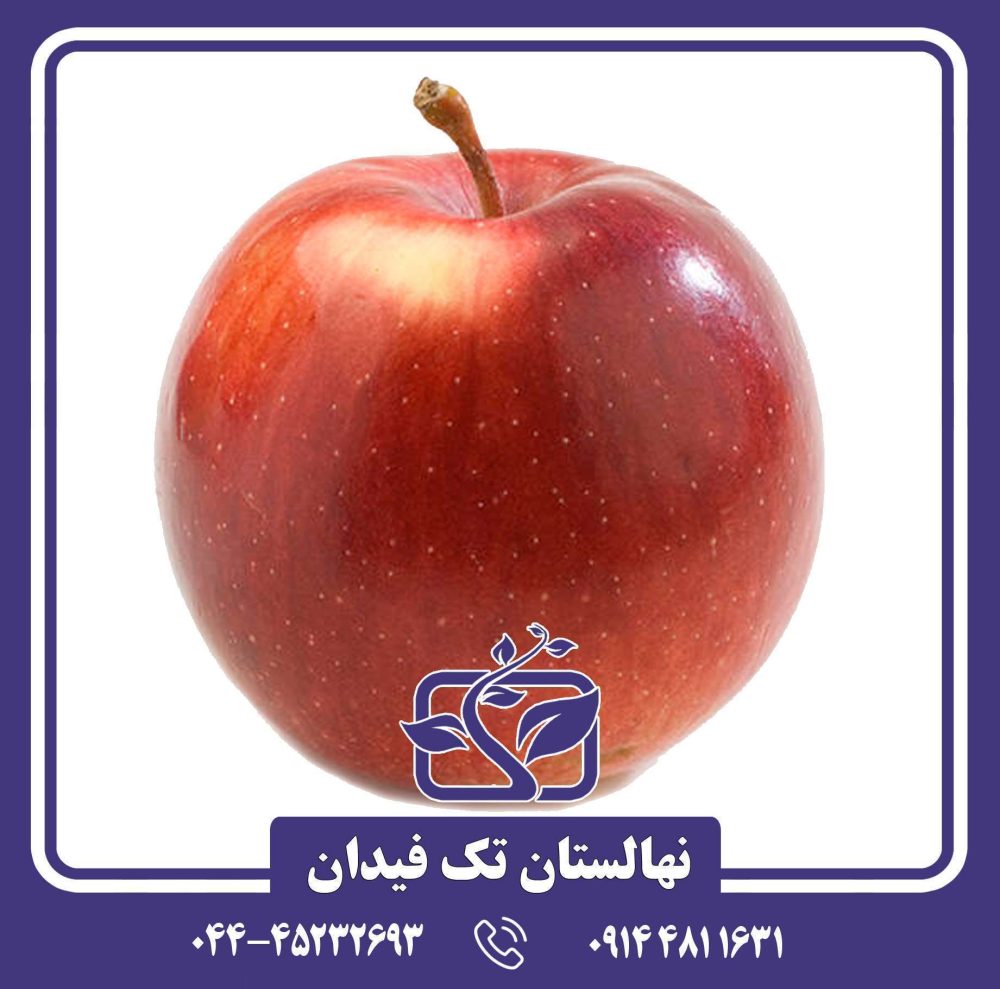 نهال سیب جوناتان