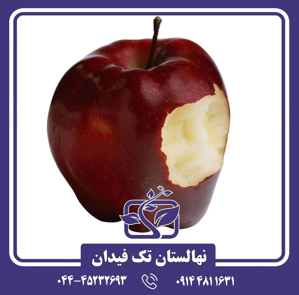 نهال سیب گلدن دلیشیز