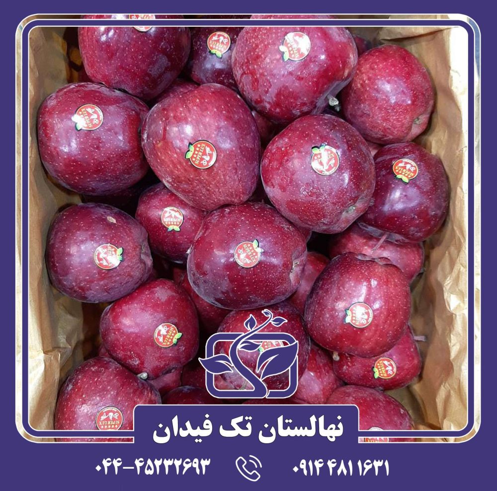 نهال سیب گلدن دلیشیز