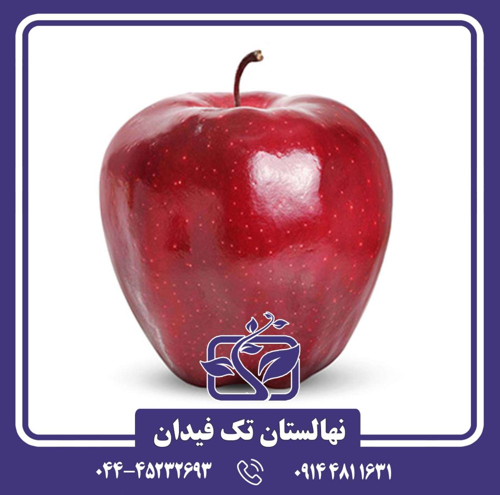 نهال سیب رد چیف