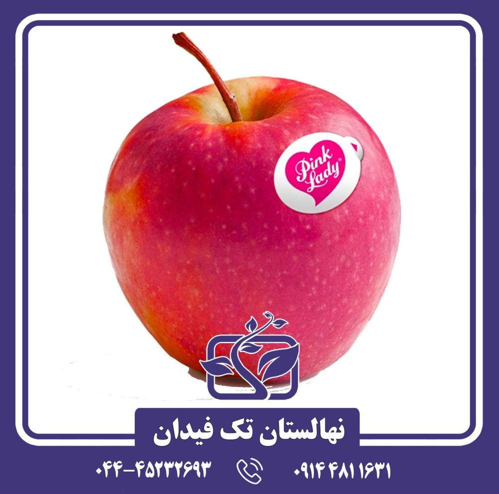 نهال سیب پینک لیدی