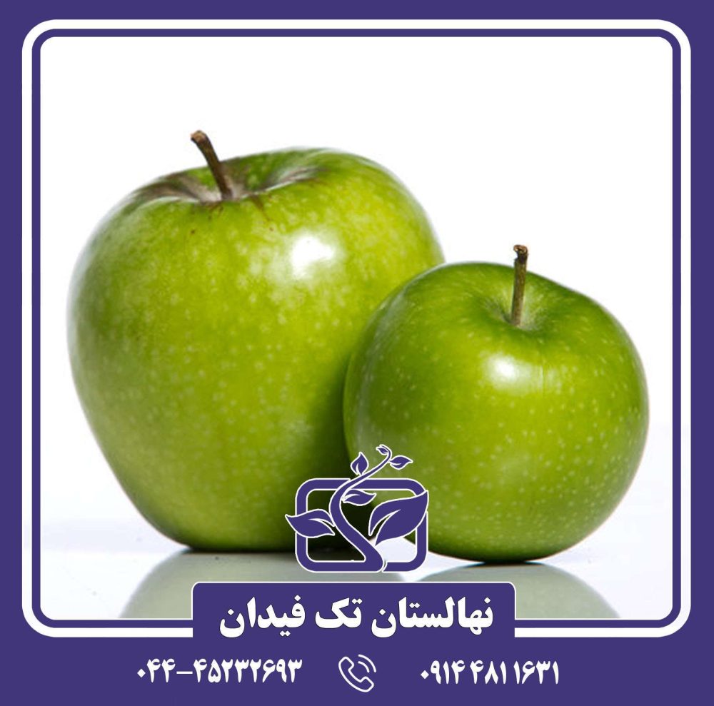 نهال سیب گرانی اسمیت
