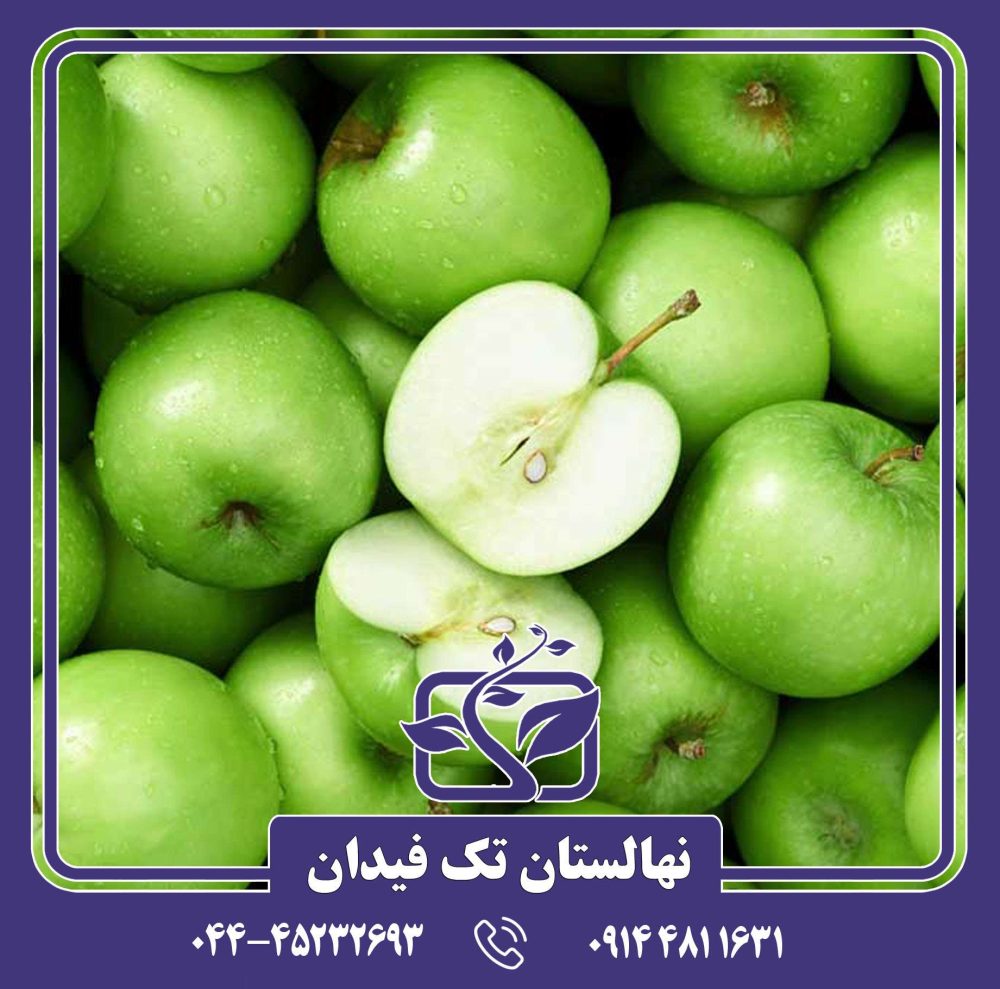 نهال سیب گرانی اسمیت