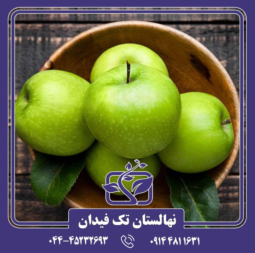 نهال سیب گرانی اسمیت