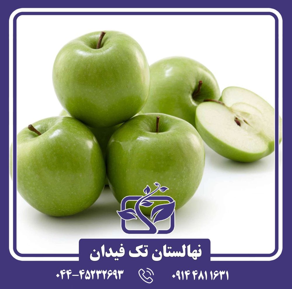 نهال سیب گرانی اسمیت