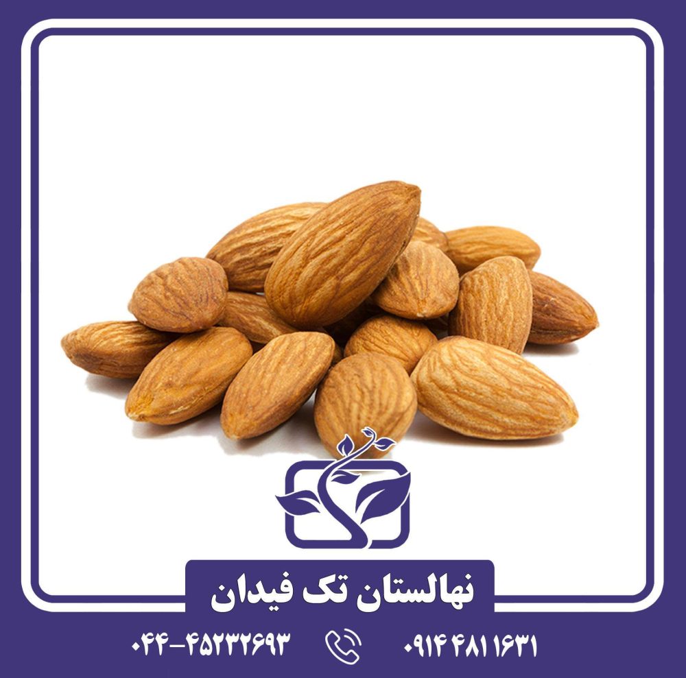 نهال بادام A230