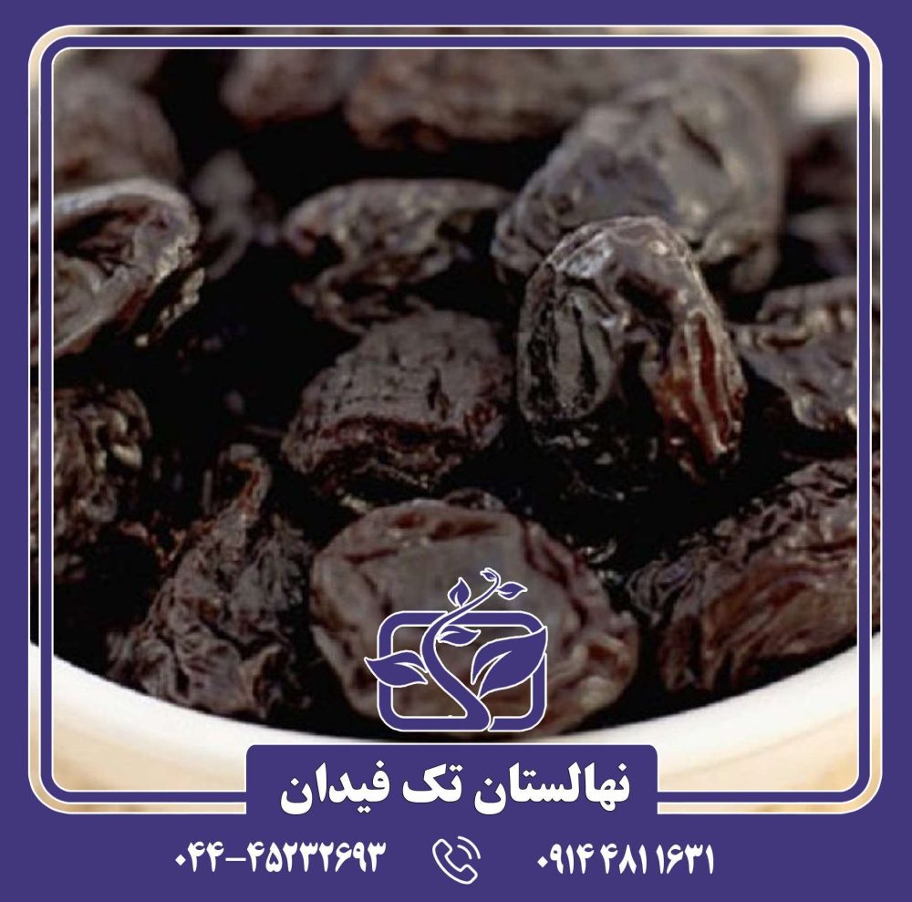 نهال آلو برقانی