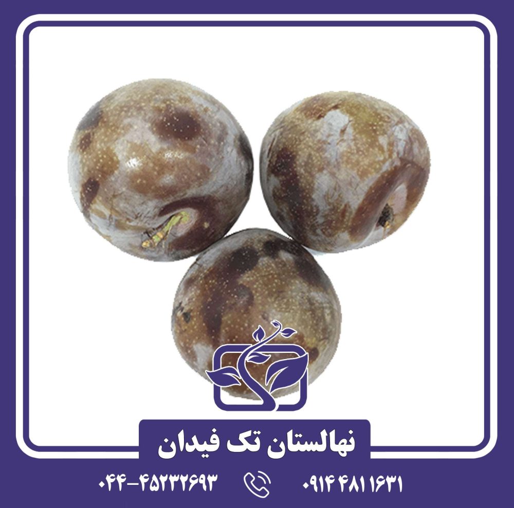 نهال آلو خونی