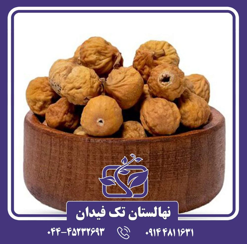 نهال انجیر استهبان - Image 2