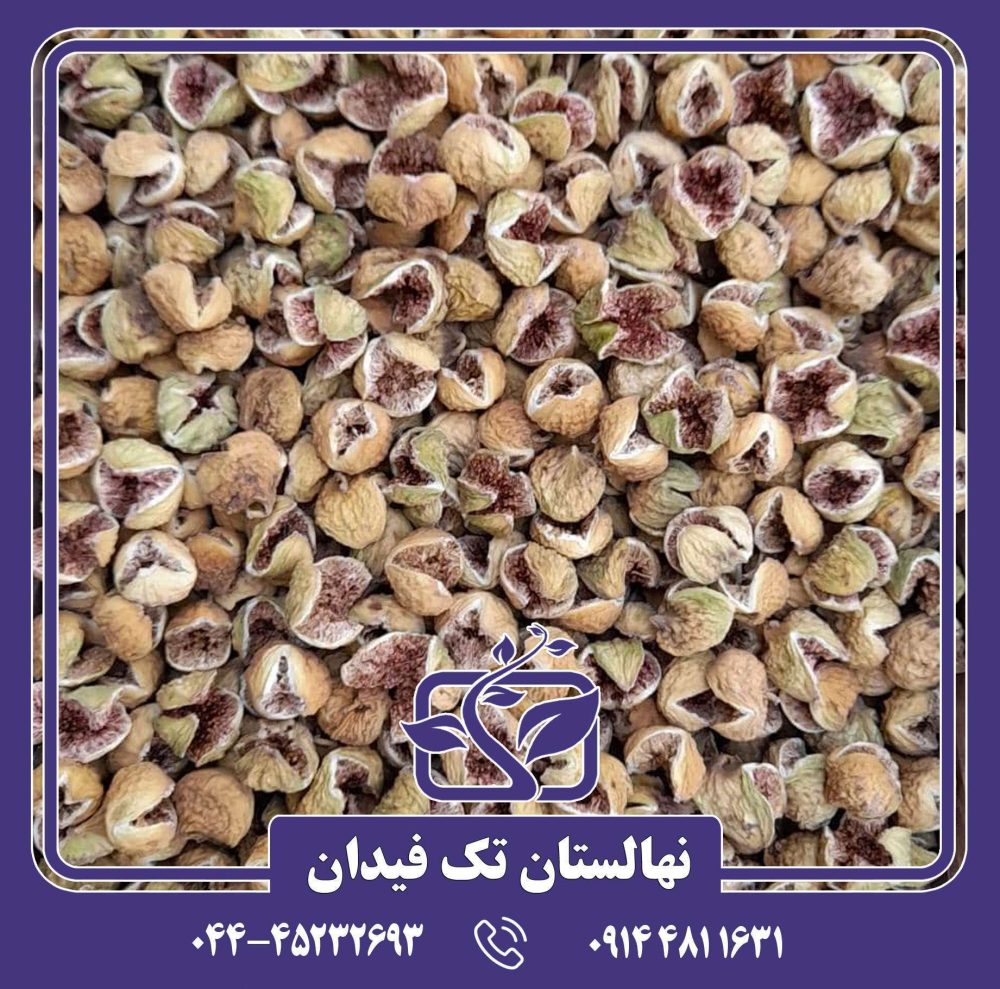 نهال انجیر استهبان - Image 5