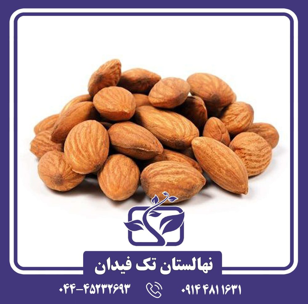 نهال بادام کریستومورتو