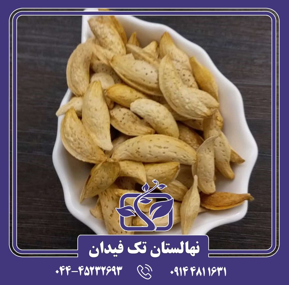 نهال بادام یلدا