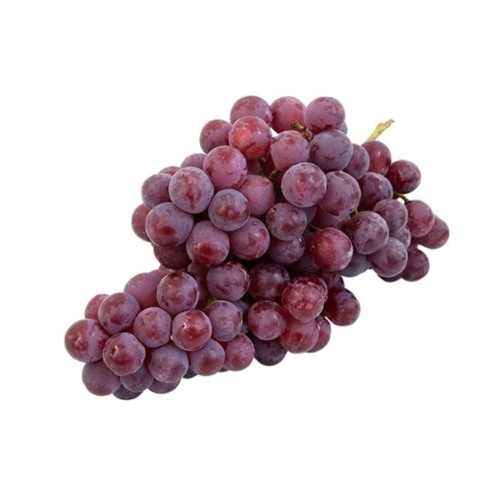 نهالستان تک فیدان نهالستان تک فیدان