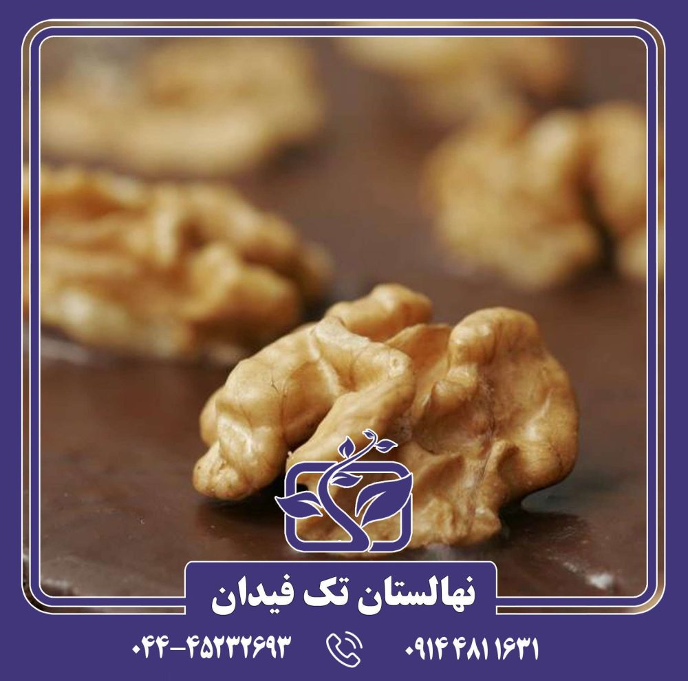 نهال گردو چالدران