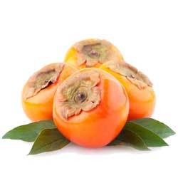 نهالستان تک فیدان نهالستان تک فیدان