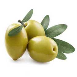 نهالستان تک فیدان نهالستان تک فیدان