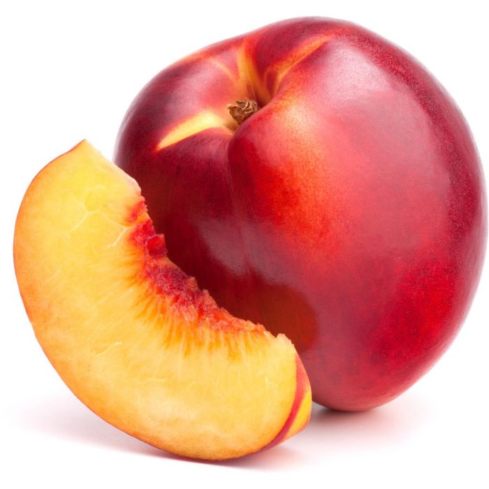 نهالستان تک فیدان نهالستان تک فیدان