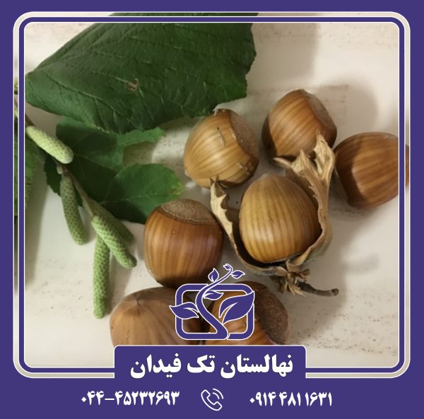 نهال فندق انیس