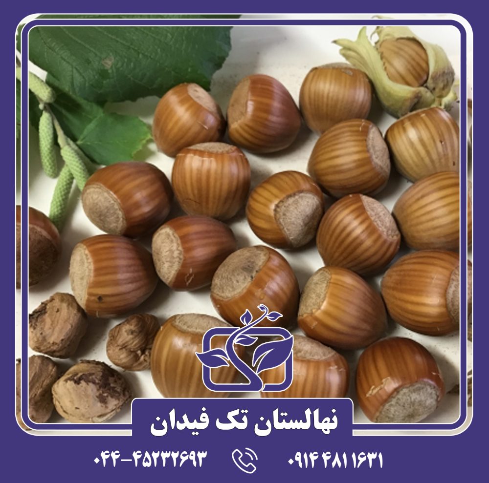 نهال فندق انیس