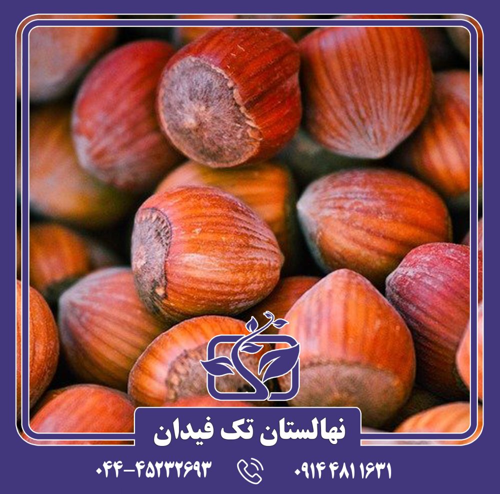 نهال فندق سگروب