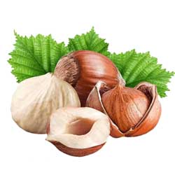 نهالستان تک فیدان نهالستان تک فیدان