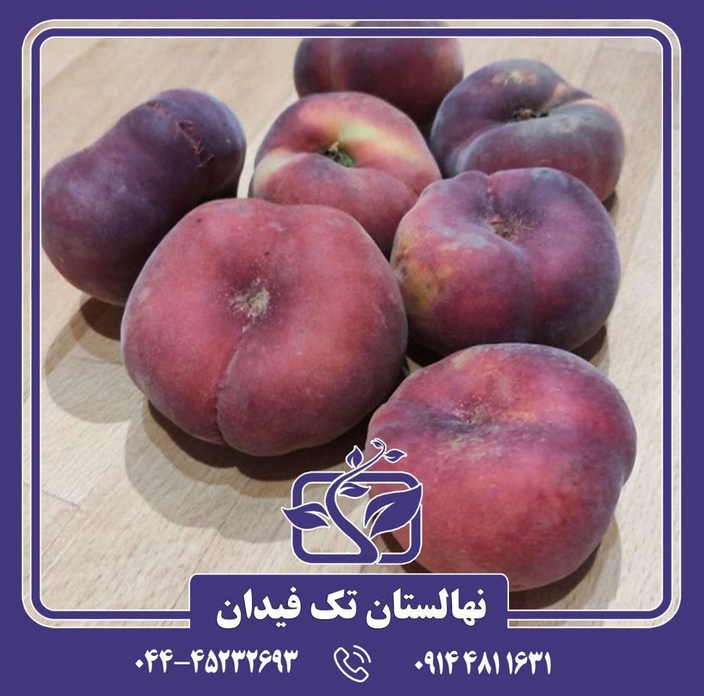 نهال هلو انجیری خونی