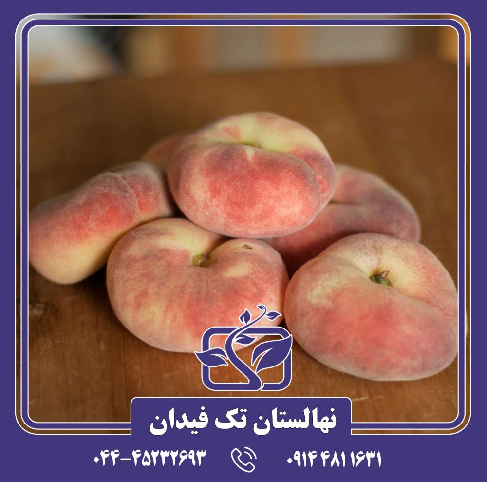 نهال هلو انجیری عسلی