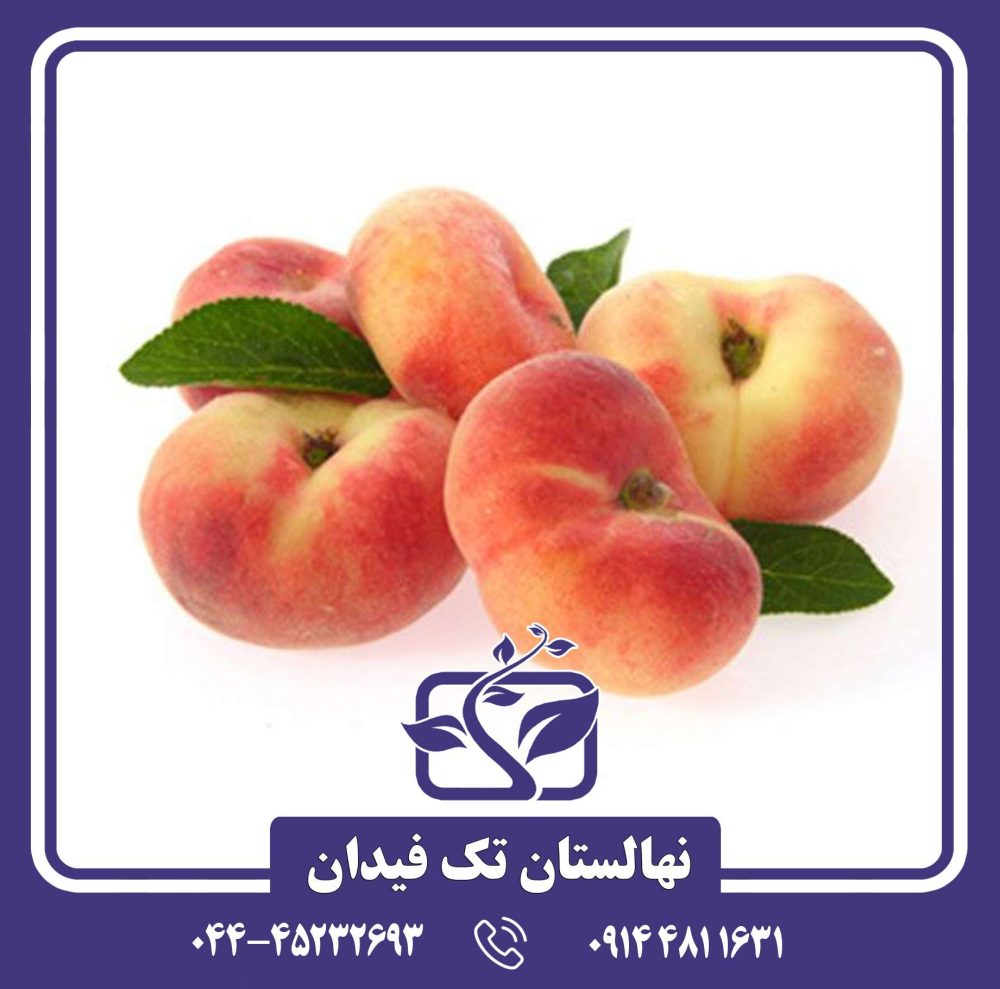 نهال هلو انجیری