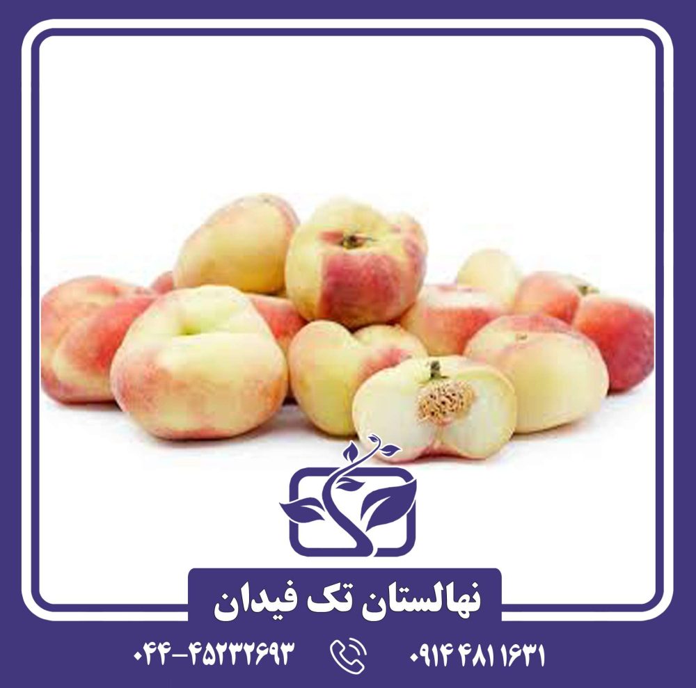 نهال هلو انجیری کوثر