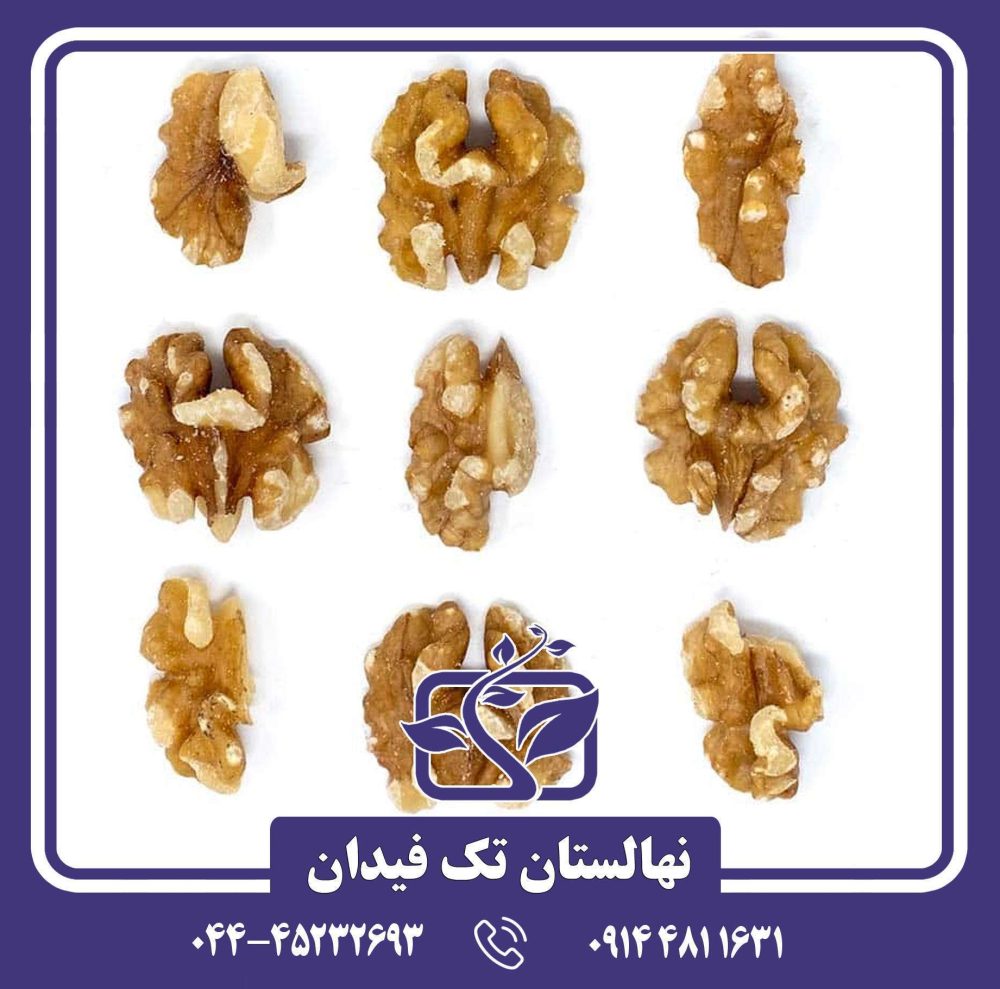 نهال گردو روند
