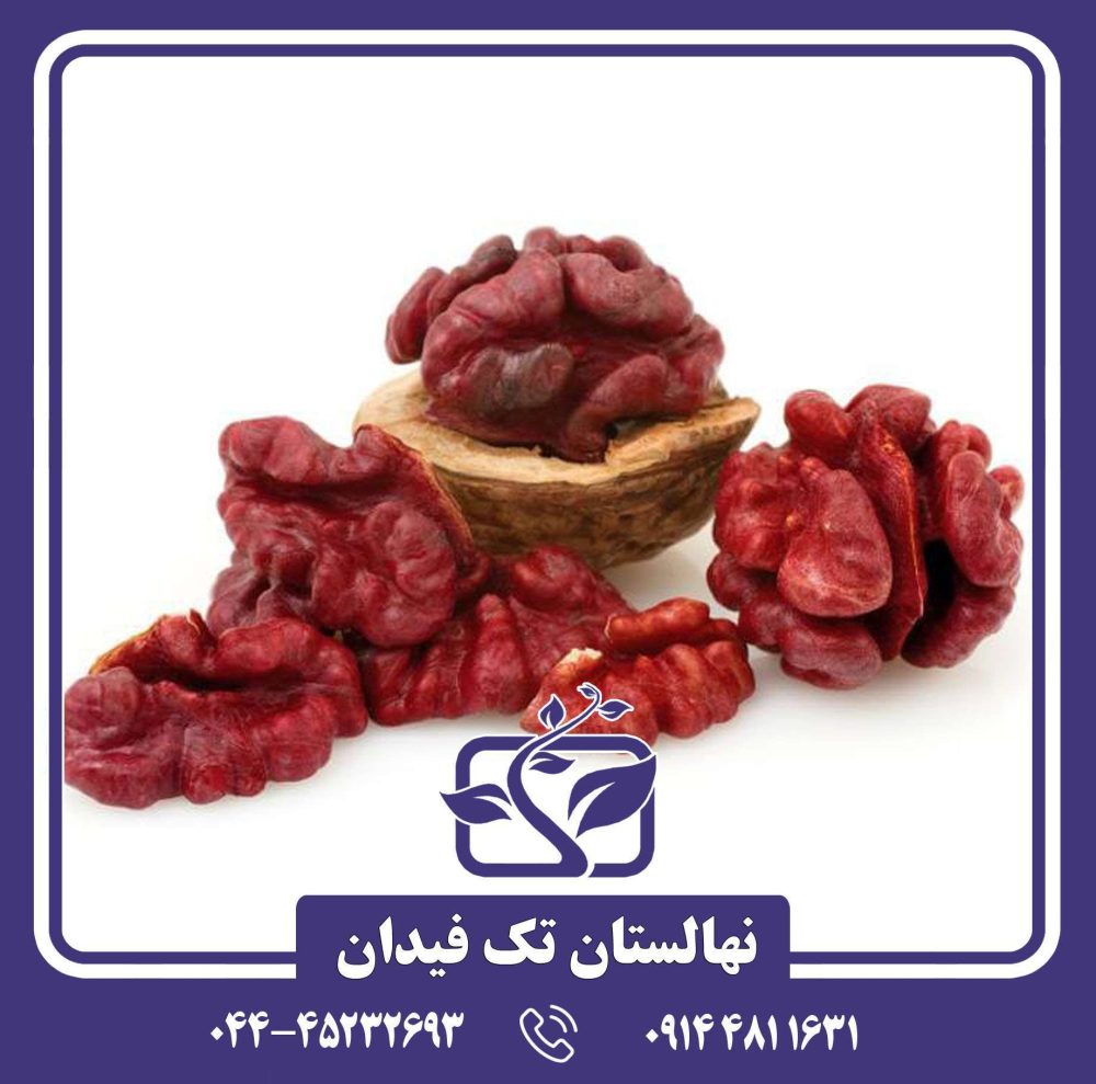 نهال گردو لیورمور