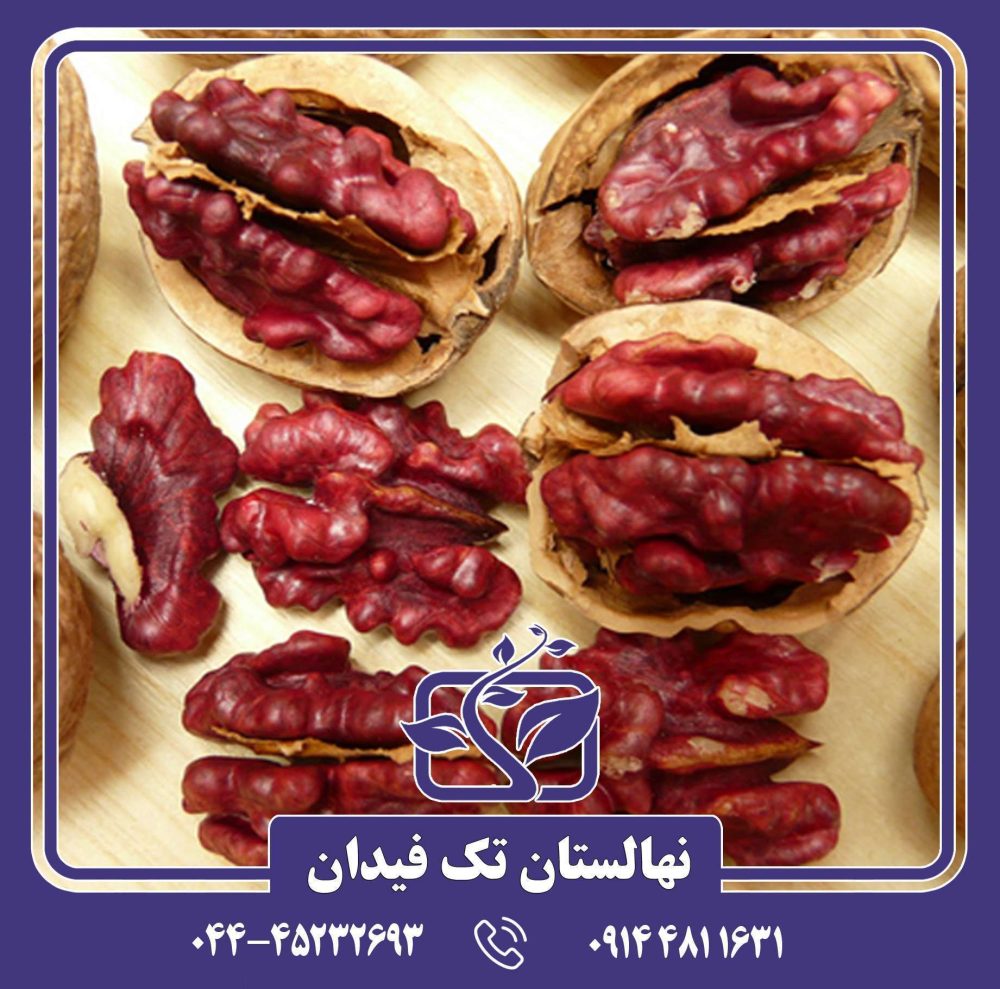 نهال گردو لیورمور