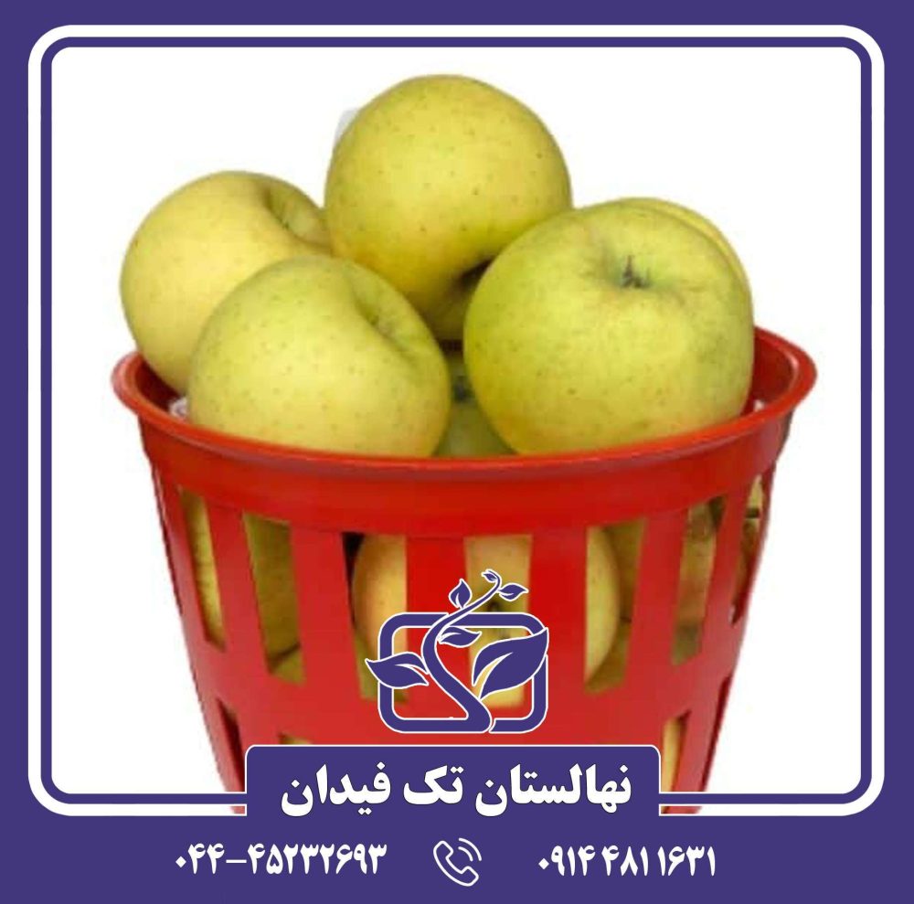 نهال سیب پریما