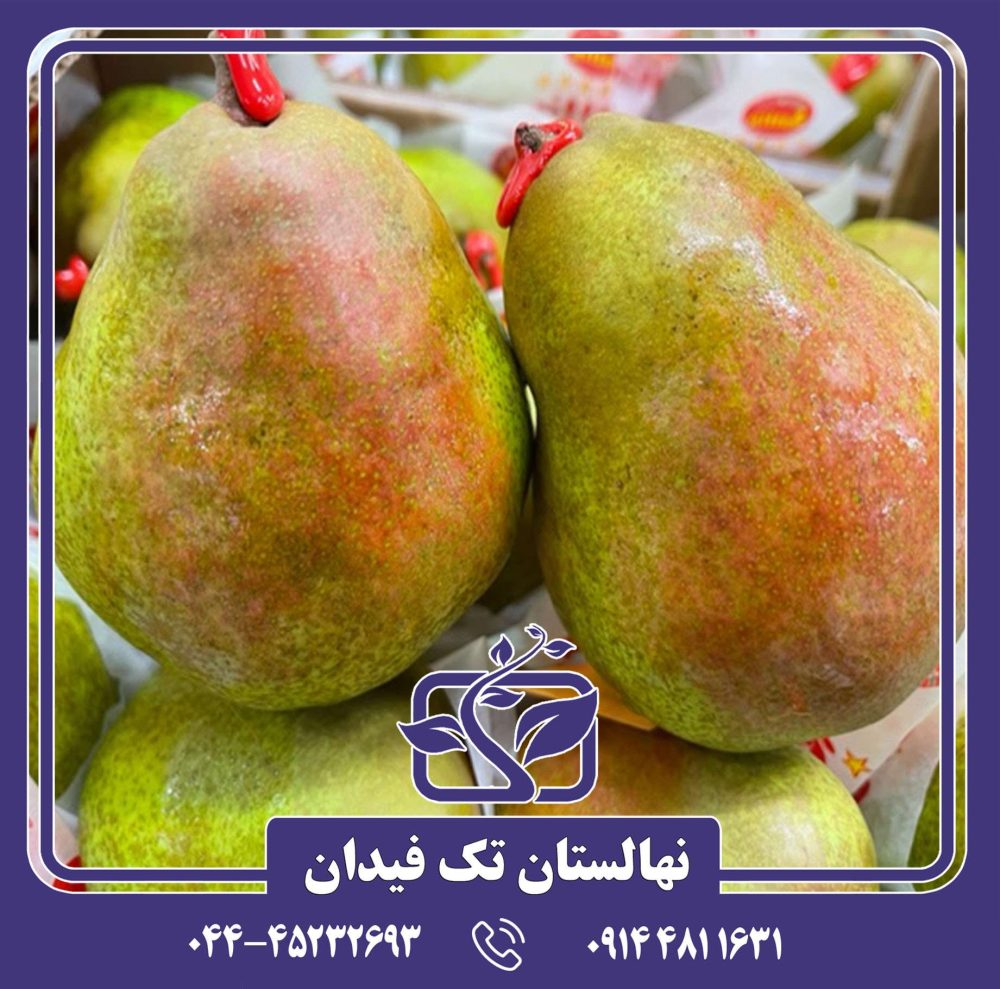 نهال گلابی دکانا