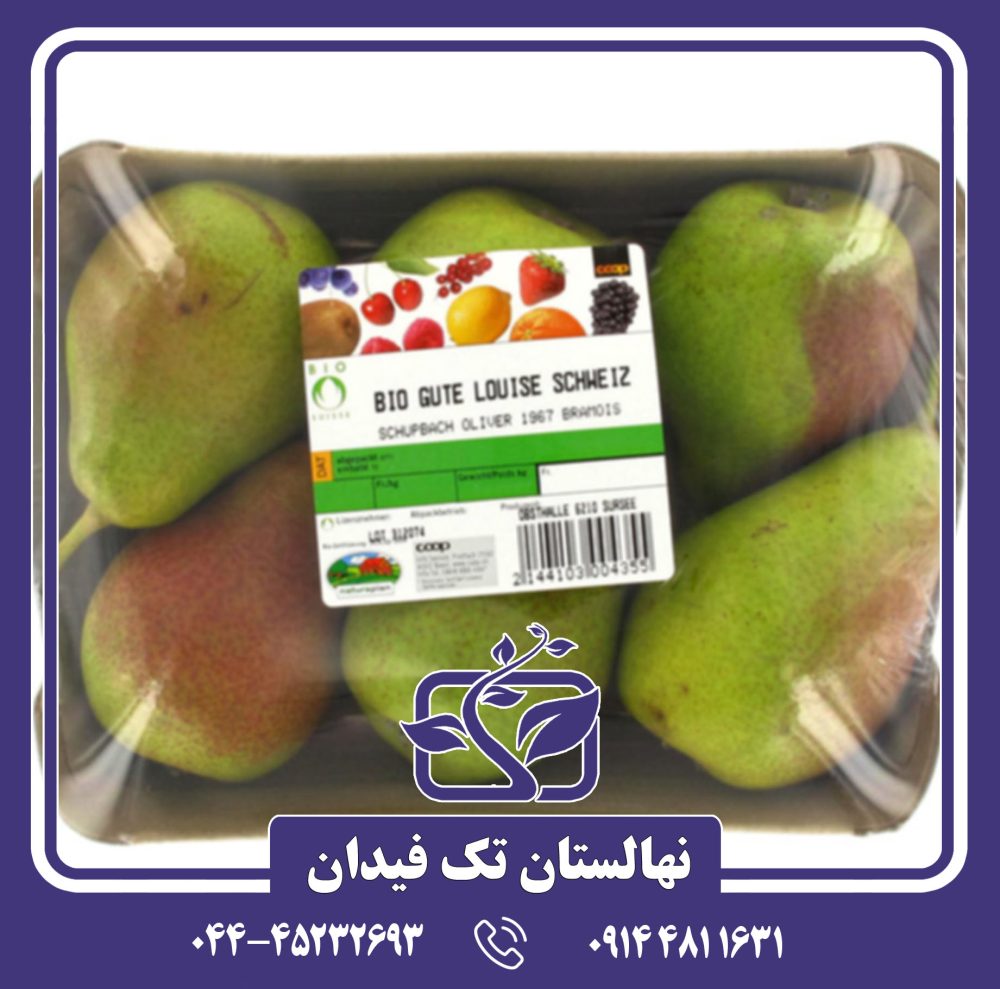 نهال گلابی لوئیزبون