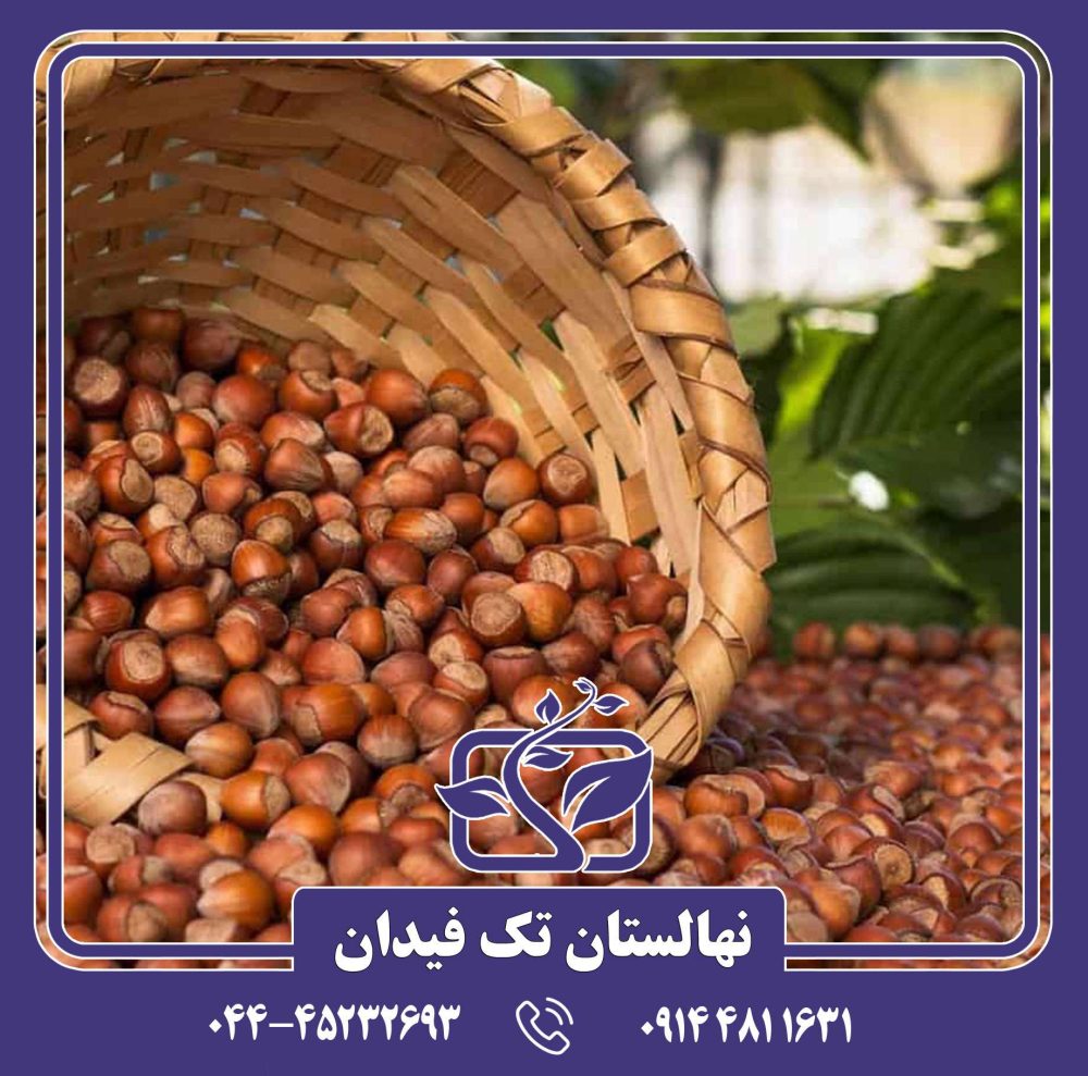 نهال فندق ترابازون