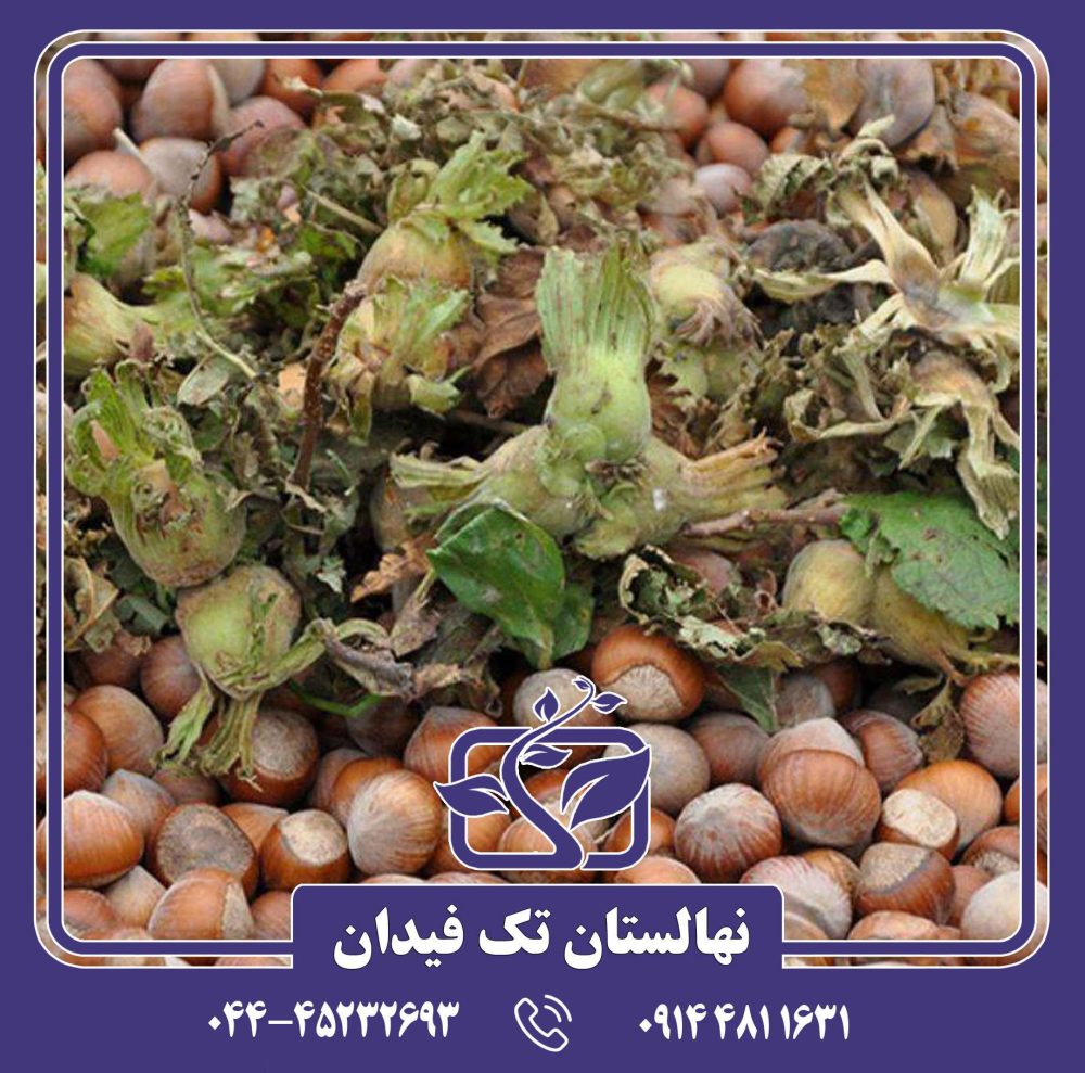 نهال فندق ترابازون