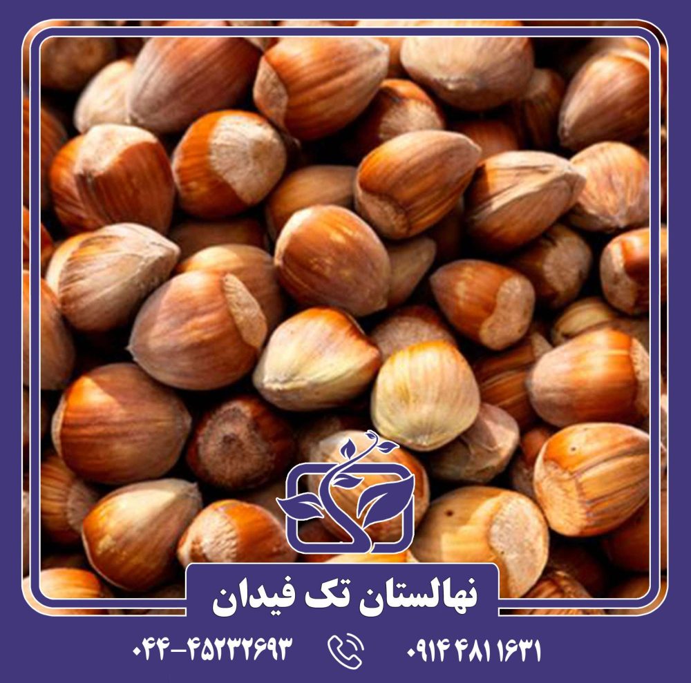 نهال فندق ترابازون