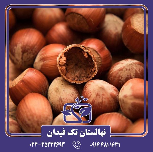 نهال فندق پرزیدنت