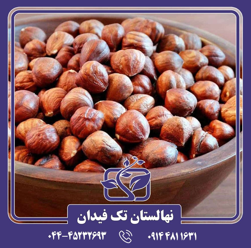 نهال فندق پرزیدنت